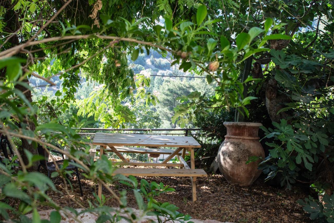 Harmony Inn Safed Zewnętrze zdjęcie