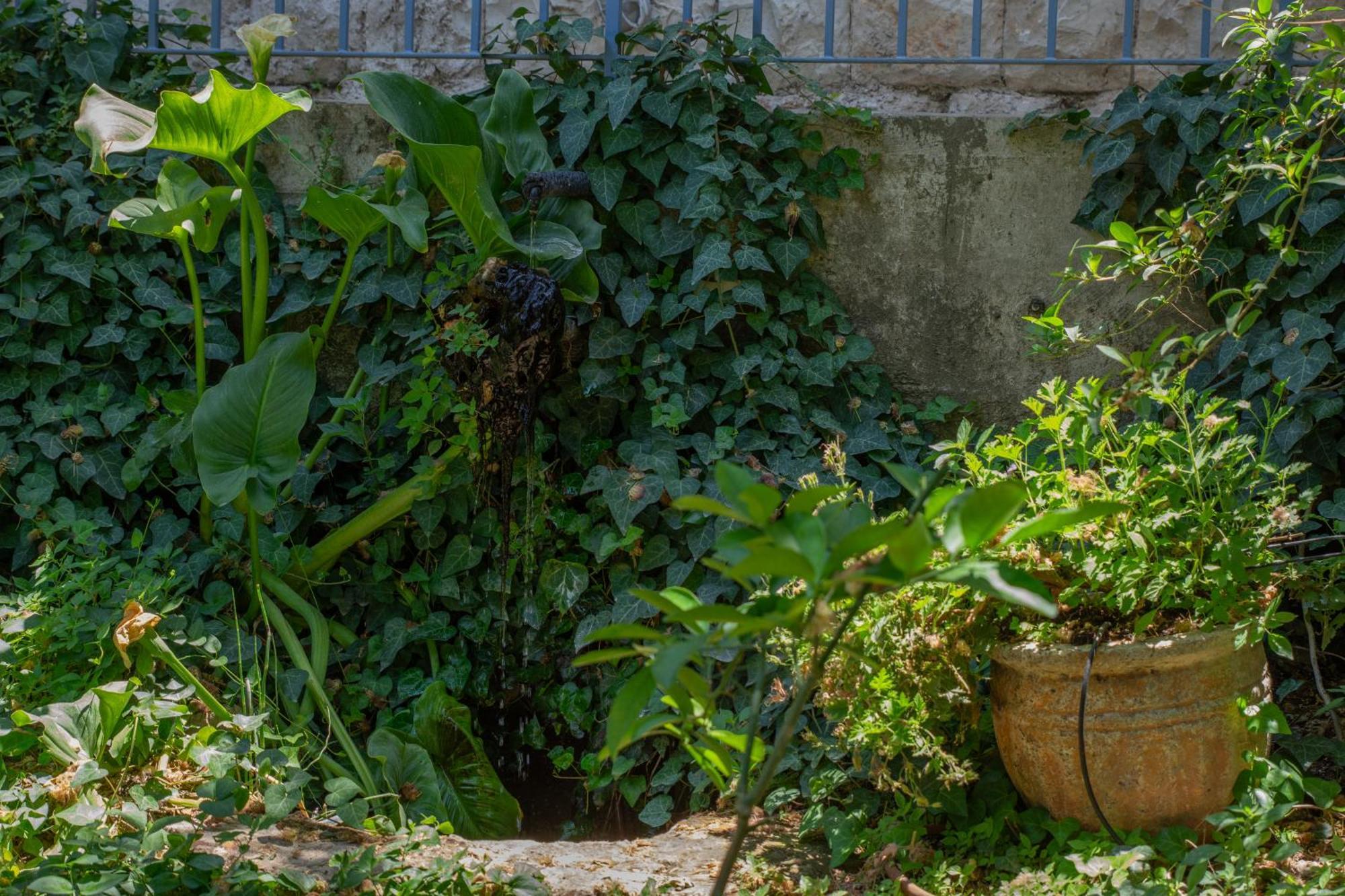 Harmony Inn Safed Zewnętrze zdjęcie
